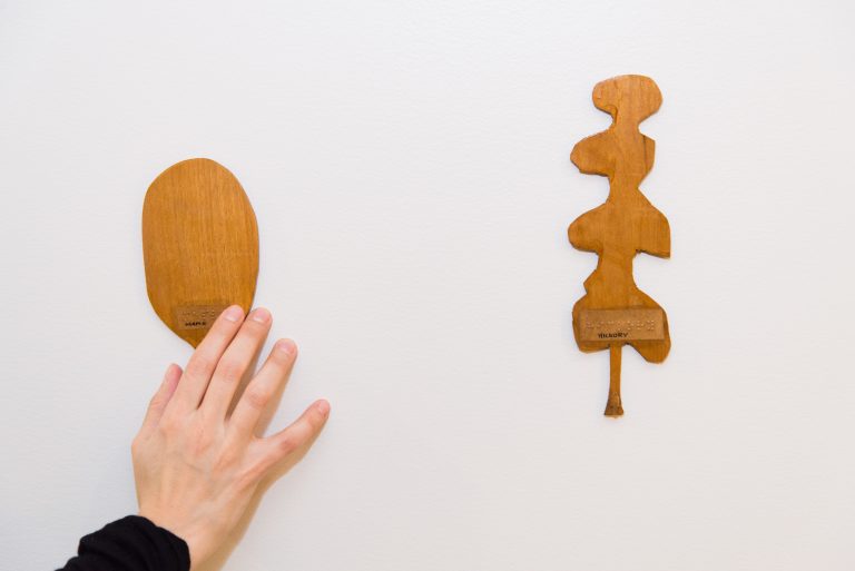 A white hand touching the braille label on a rounded tree shape to the left of a more angular tree shape and its braille label